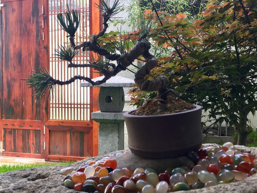Bo Nan Homestay Dali  Extérieur photo