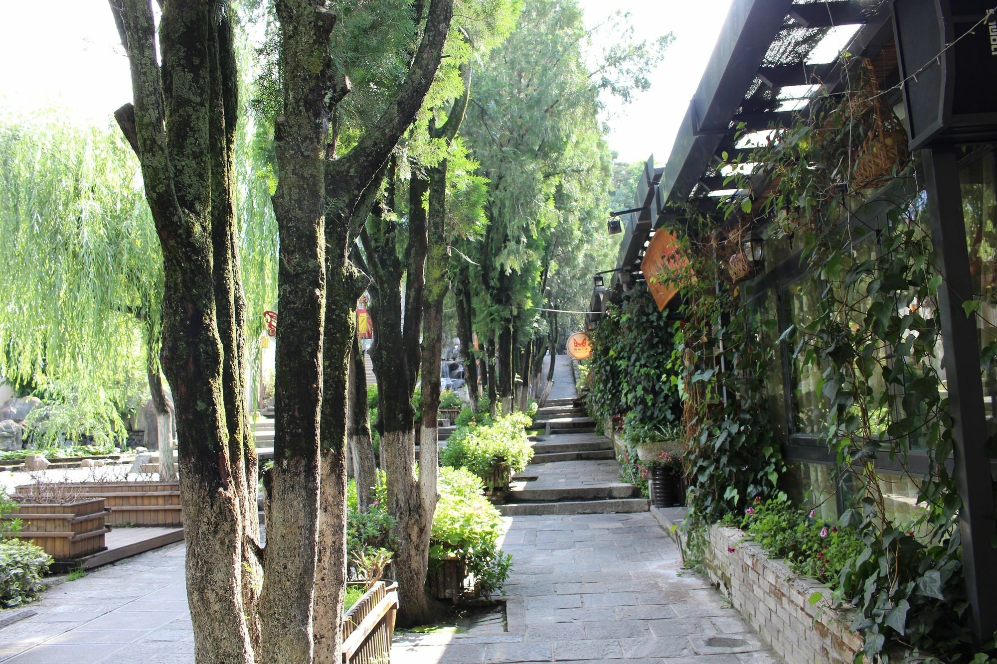 Bo Nan Homestay Dali  Extérieur photo